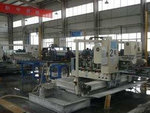 Dandong Lizheng Material Recycling Co., Ltd