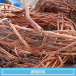 Guangdong Ulan Renewable Resources Recycling Co., Ltd
