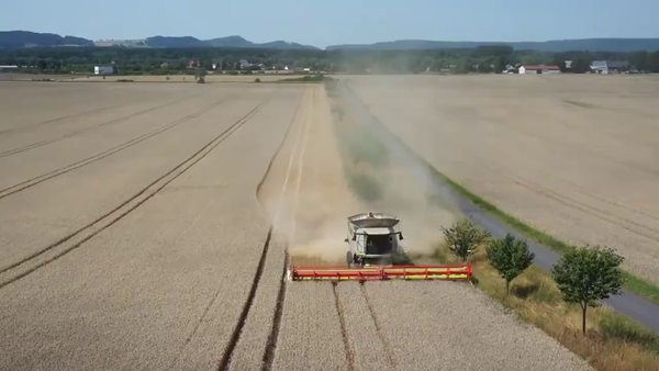 德国小麦收割作业，收割脱粒一次成型，一个小时就是120亩