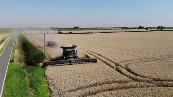 英国机械化收割小麦，收割脱粒一次成型，一个小时收割小麦180亩