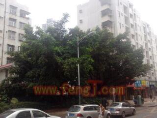 先輩金属解体会社