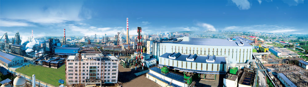 唐山东华钢铁企业集团有限公司成立于2009年,注册资金40000万元,是集