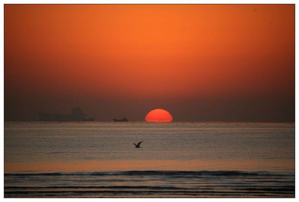 太阳升集团(太阳升集团方小东)