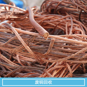 広東蔚藍再生資源回収有限公司